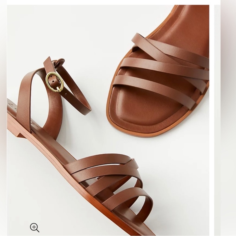 NIB Loft Leather Criss Cross ankle strap sandal in chocolate sz 8